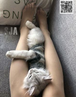 jealousvue成熟五十路_720免费在线观看