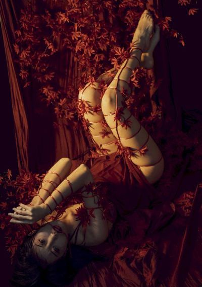 女孩的小森林_在线观看视频