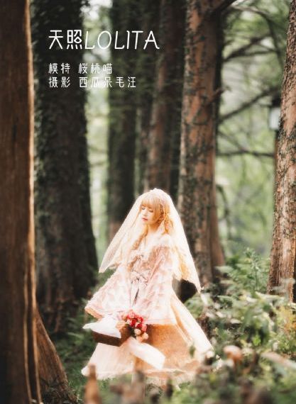 原来你还在这里免费观看30集_超清免费全集观看